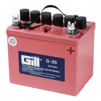 G-25