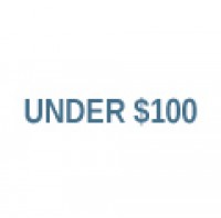 Under $100